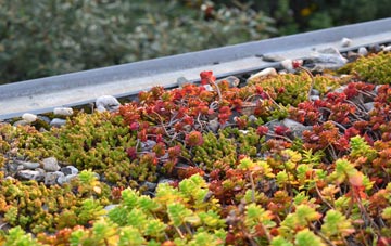 the cost of Middleton St George green roof installation