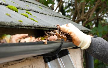 gutter cleaning Middleton St George, County Durham