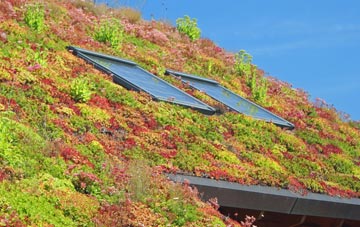 Middleton St George living roof systems