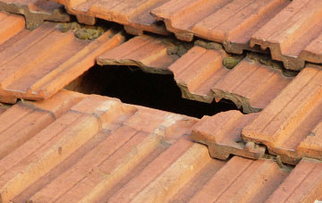 roof repair Middleton St George, County Durham